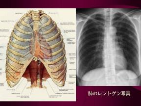 西日本がん研究機構 Npo Wjog